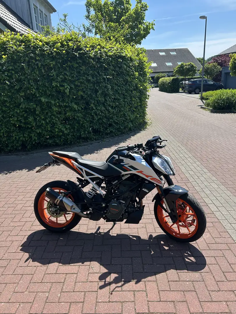 KTM 125 Duke Alb - 1