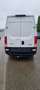 Iveco Daily DAILY 35-160 Wit - thumbnail 13