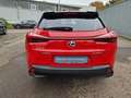 Lexus UX 250h Luxury Line HUD ESD Leder Panodach Navi Soundsyste Red - thumbnail 4