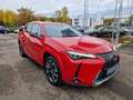 Lexus UX 250h Luxury Line HUD ESD Leder Panodach Navi Soundsyste Red - thumbnail 7