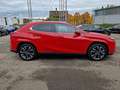 Lexus UX 250h Luxury Line HUD ESD Leder Panodach Navi Soundsyste Red - thumbnail 6