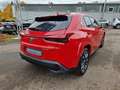 Lexus UX 250h Luxury Line HUD ESD Leder Panodach Navi Soundsyste Red - thumbnail 5