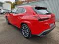 Lexus UX 250h Luxury Line HUD ESD Leder Panodach Navi Soundsyste Red - thumbnail 3