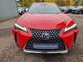 Lexus UX 250h Luxury Line HUD ESD Leder Panodach Navi Soundsyste Red - thumbnail 8