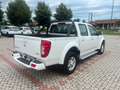 Great Wall Steed Steed 2021 DC 2.4 Premium Gpl 4wd Weiß - thumbnail 9