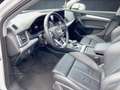 Audi Q5 TFSI e 50 quattro S tr AHK AUT Akustikglas Weiß - thumbnail 10