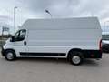 Fiat Ducato 35 Maxi 160 Multijet L4H3 *Netto €17.000,-* Weiß - thumbnail 14