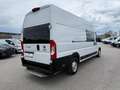Fiat Ducato 35 Maxi 160 Multijet L4H3 *Netto €17.000,-* Weiß - thumbnail 9
