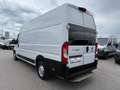 Fiat Ducato 35 Maxi 160 Multijet L4H3 *Netto €17.000,-* Weiß - thumbnail 13