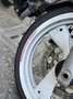 Ducati Monster 600 Ducati Monster 600 Bianco - thumbnail 7