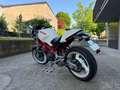 Ducati Monster 600 Ducati Monster 600 Bianco - thumbnail 4
