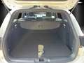 Ford Focus Turn. ST-Line Styling Pak. Winter Pak. Blanc - thumbnail 7