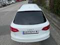 Audi A4 A4 Avant 2,0 TDI quattro Sport DPF Sport Weiß - thumbnail 35