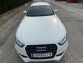 Audi A4 A4 Avant 2,0 TDI quattro Sport DPF Sport Weiß - thumbnail 5
