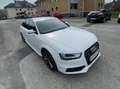 Audi A4 A4 Avant 2,0 TDI quattro Sport DPF Sport Weiß - thumbnail 13