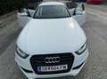 Audi A4 A4 Avant 2,0 TDI quattro Sport DPF Sport Weiß - thumbnail 16