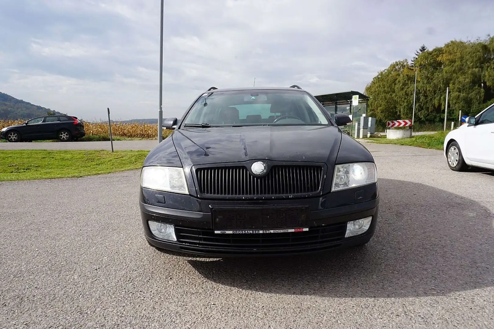 Skoda Octavia 2.0 TDI PD DPF Solo - 1