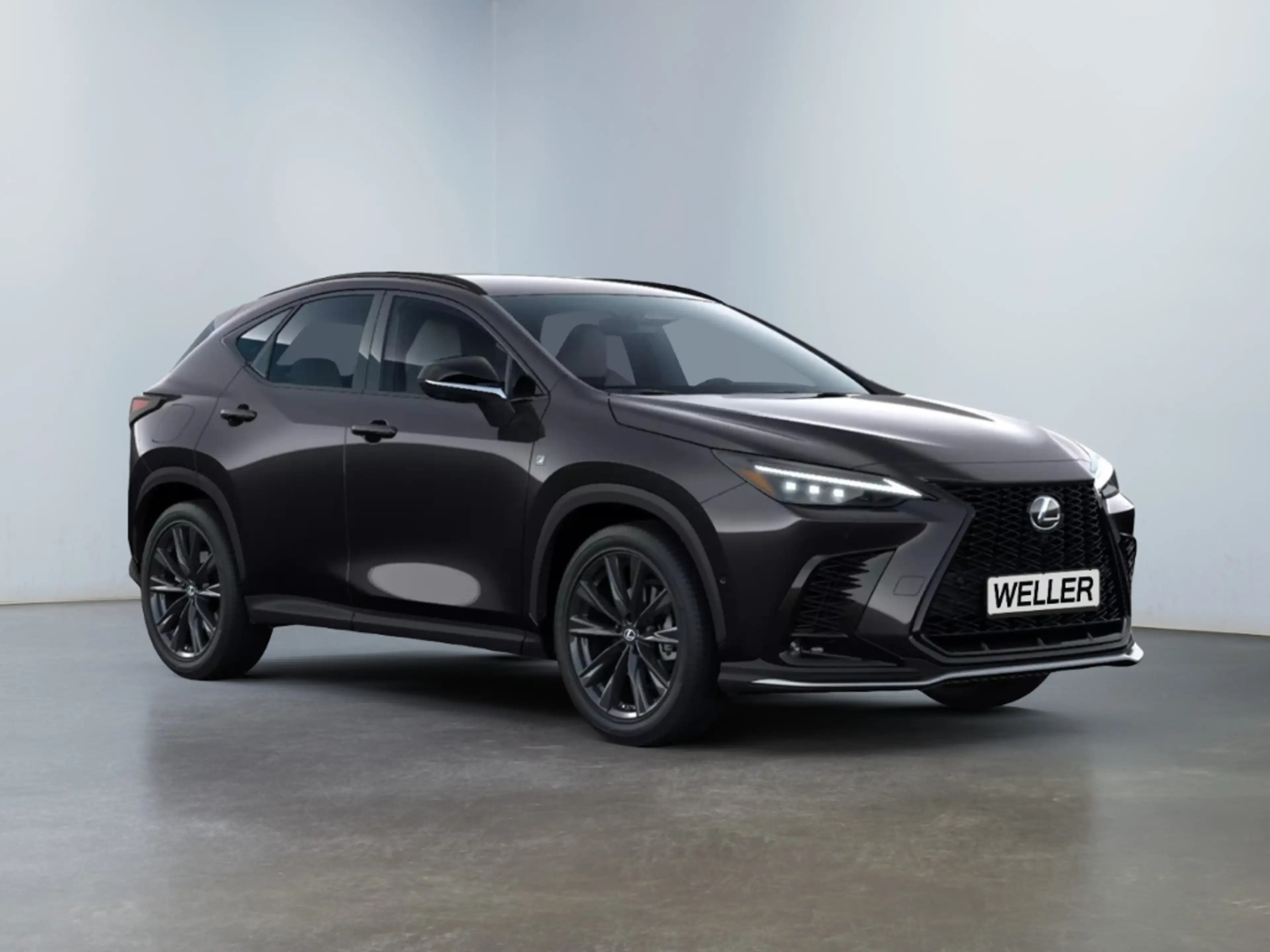 Lexus NX 450h+ NX450+ 2,5l Plug-in CVT , Hybrid 5-Türer F — photo 9
