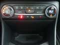 Ford Fiesta 1.5 Ecoboost 200 CV 5 porte ST Grigio - thumbnail 13