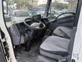Isuzu NKR M21 Heavy E 1.9 Tdi 123cv ES COMPATTATORE OMB Bianco - thumbnail 13