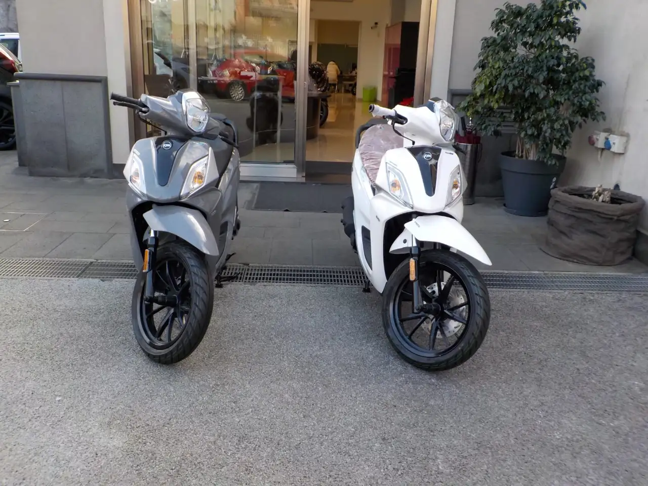 Sym Symphony 50