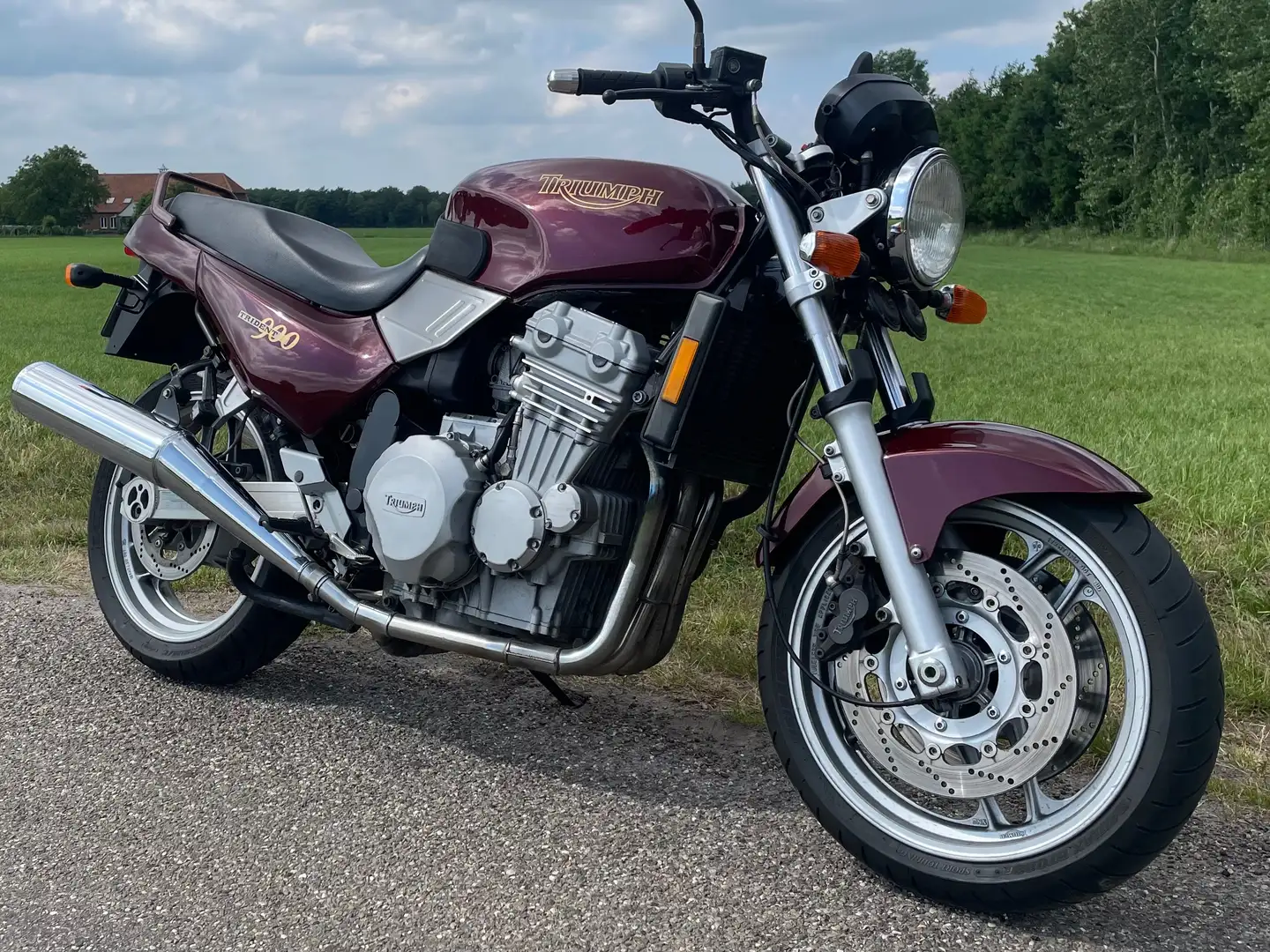 Triumph Trident 900 Rosso - 1