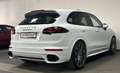 Porsche Cayenne Turbo | Sport Design - LED - Panorama! Weiß - thumbnail 4