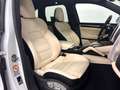 Porsche Cayenne Turbo | Sport Design - LED - Panorama! Weiß - thumbnail 18