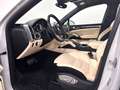 Porsche Cayenne Turbo | Sport Design - LED - Panorama! Weiß - thumbnail 8