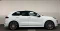 Porsche Cayenne Turbo | Sport Design - LED - Panorama! Weiß - thumbnail 5