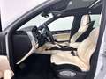 Porsche Cayenne Turbo | Sport Design - LED - Panorama! Weiß - thumbnail 9