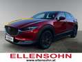 Mazda CX-30 G122 Comfort      8-fach bereift! 360° Kamera! Rot - thumbnail 1