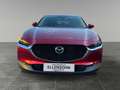 Mazda CX-30 G122 Comfort      8-fach bereift! 360° Kamera! Rot - thumbnail 8