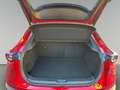 Mazda CX-30 G122 Comfort      8-fach bereift! 360° Kamera! Rot - thumbnail 19