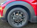 Mazda CX-30 G122 Comfort      8-fach bereift! 360° Kamera! Rot - thumbnail 15