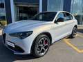 Alfa Romeo Stelvio 2.2 Turbodiesel 210 CV AT8 Q4 Veloce Blanc - thumbnail 2