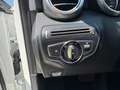 Mercedes-Benz C 200 d Avantgarde Aut. 7G-Tronic | *TOPZUSTAND*NIGHT-PA Biały - thumbnail 38