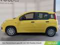 Fiat Panda Pandina Icon Gelb - thumbnail 2