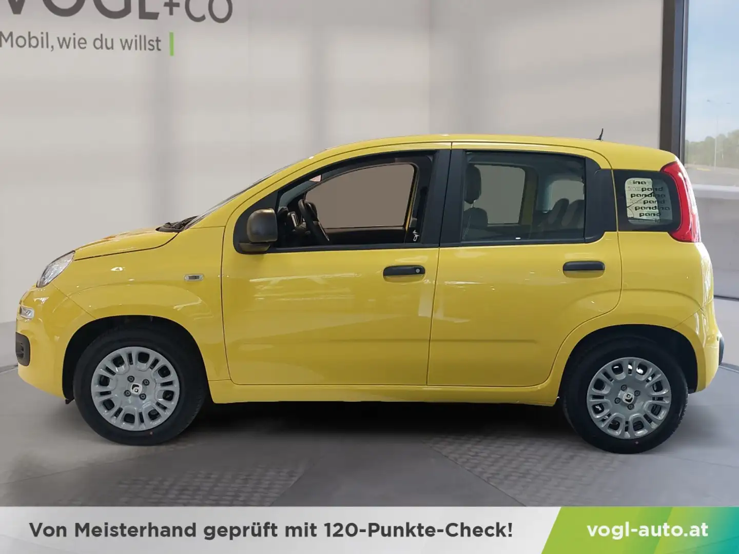 Fiat Panda Pandina Icon Gelb - 2