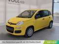 Fiat Panda Pandina Icon Gelb - thumbnail 1