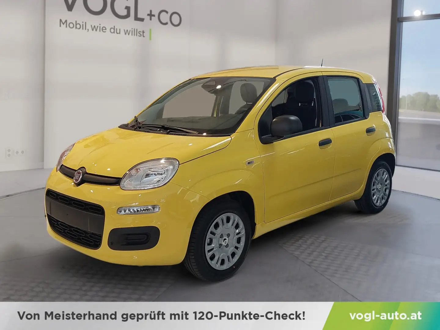 Fiat Panda Pandina Icon Gelb - 1