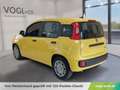 Fiat Panda Pandina Icon Gelb - thumbnail 3