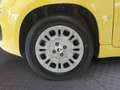 Fiat Panda Pandina Icon Gelb - thumbnail 13