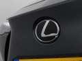 Lexus RZ 450e Executive Line + Premium Pack | 20" lichtmeta Gris - thumbnail 27