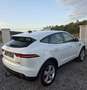 Jaguar E-Pace E-Pace 2.0DI4 D150 S AWD Aut. Weiß - thumbnail 4