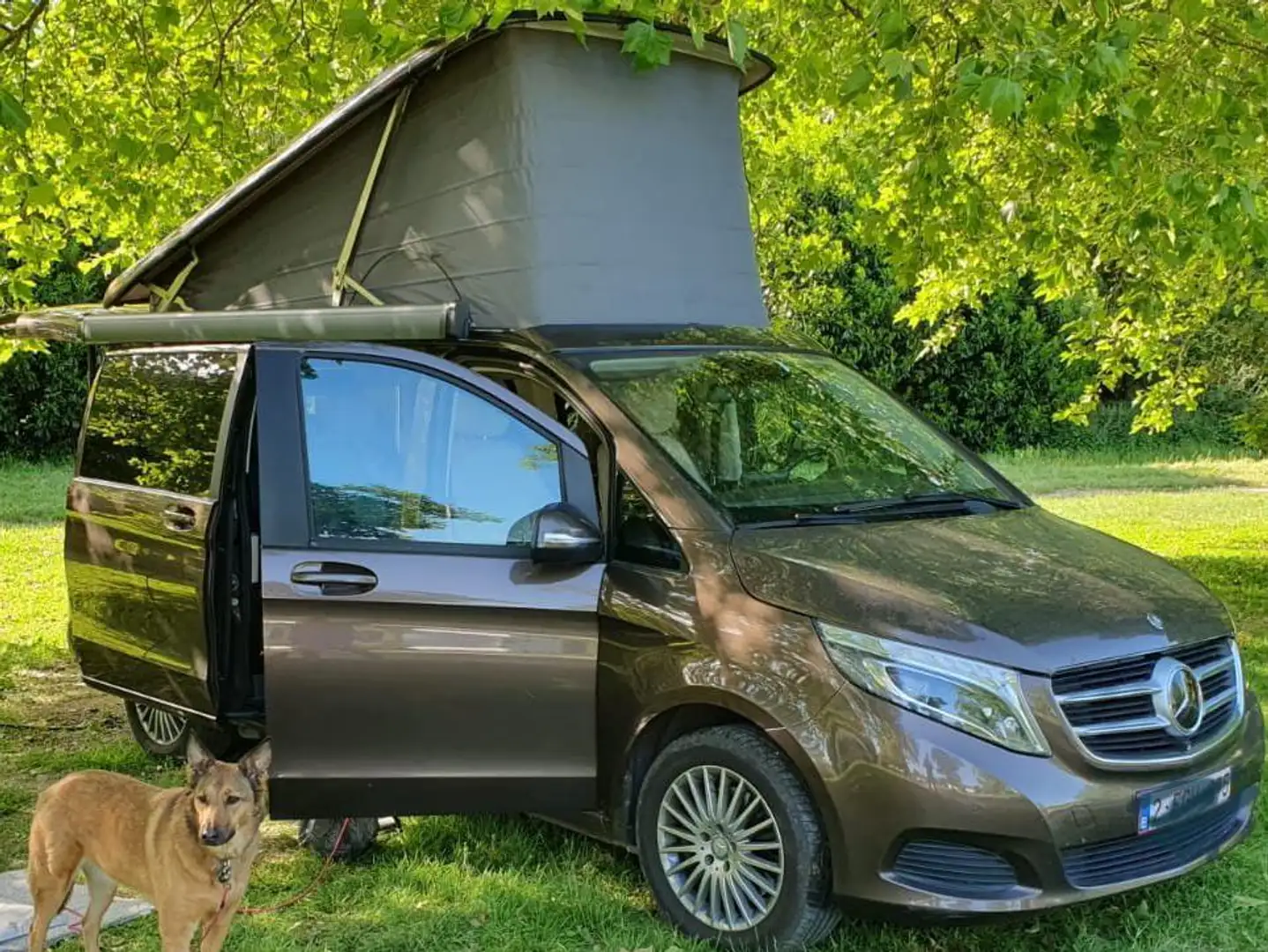 Mercedes-Benz Marco Polo 4-MATIC Brun - 1