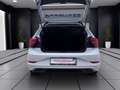 Volkswagen Polo 1.0 TSI LIFE PDC SITZHZG LED KLIMA Weiß - thumbnail 4