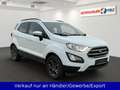 Ford EcoSport 1.0 EcoBoost Automatik Cool & Connect Blanc - thumbnail 3