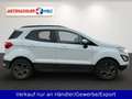 Ford EcoSport 1.0 EcoBoost Automatik Cool & Connect Blanc - thumbnail 4