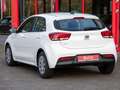 Kia Rio Edition 7 Weiß - thumbnail 6